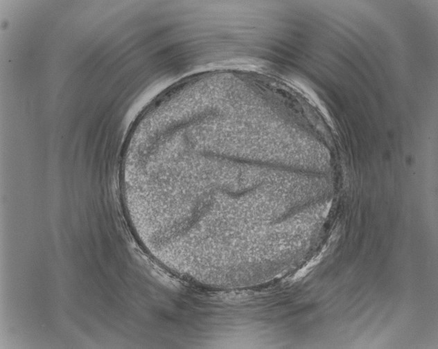 X0000067460952200605051618