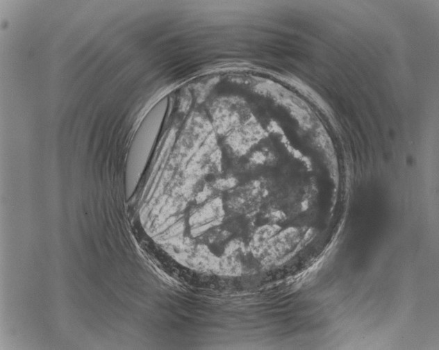 X0000067460953200605051618