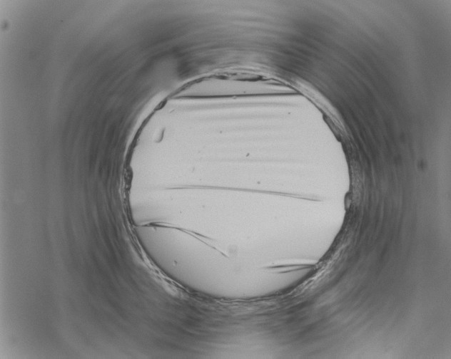 X0000067460956200605051618