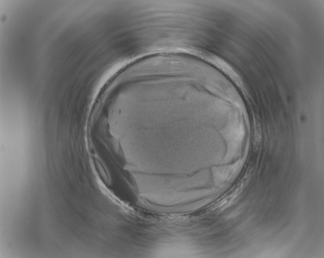 X0000067460958200605051618