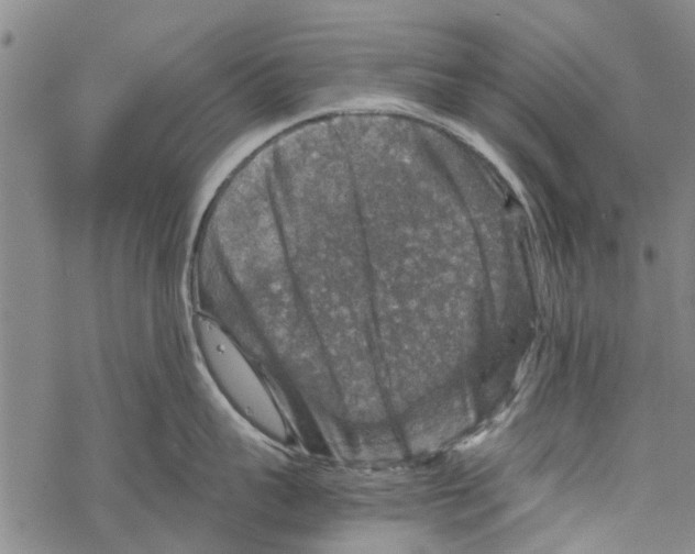 X0000067460959200605051618