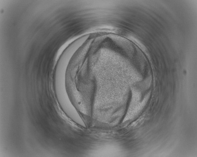 X0000067460960200605051618