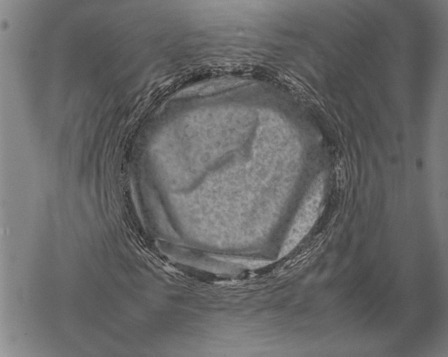 X0000067460961200605051618