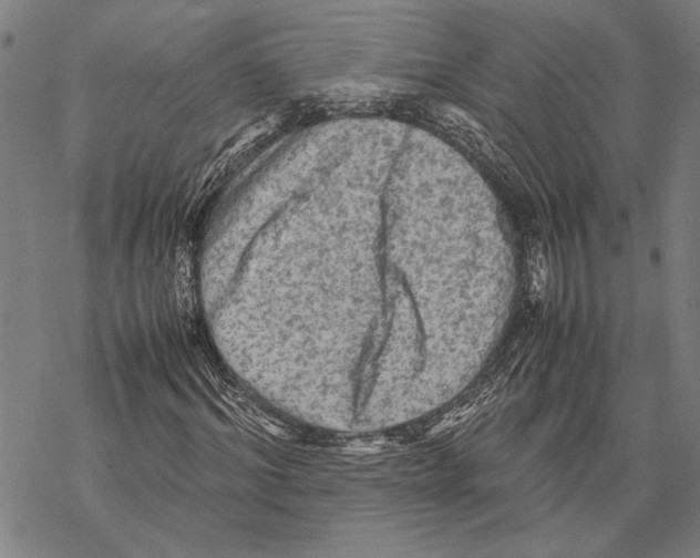 X0000067460964200605051618