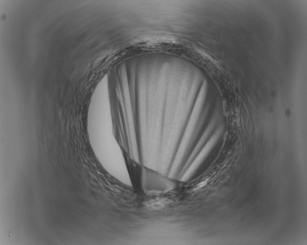 X0000067460965200605051618