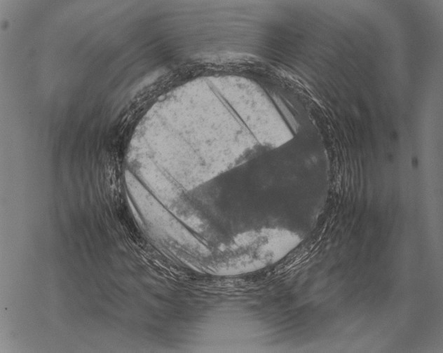 X0000067460966200605051618