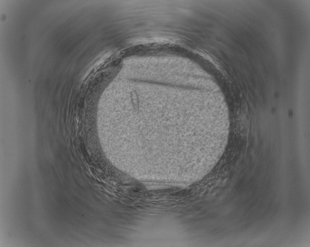 X0000067460967200605051618