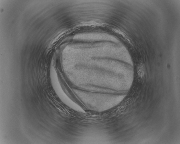 X0000067460968200605051618