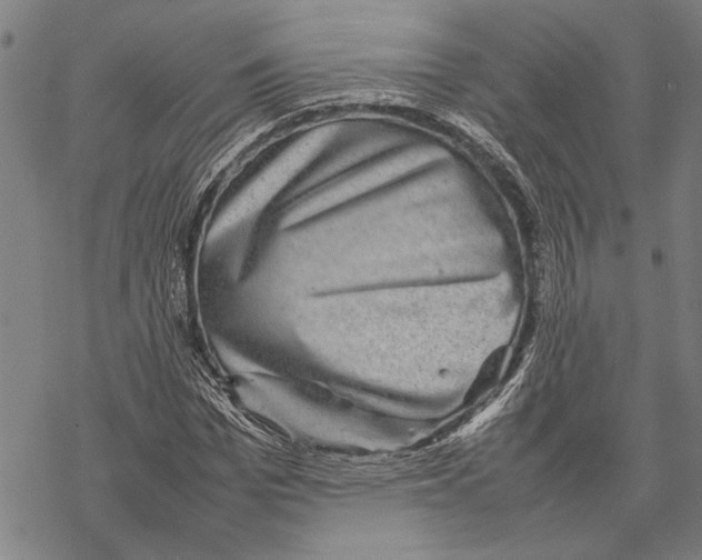 X0000067460969200605051618