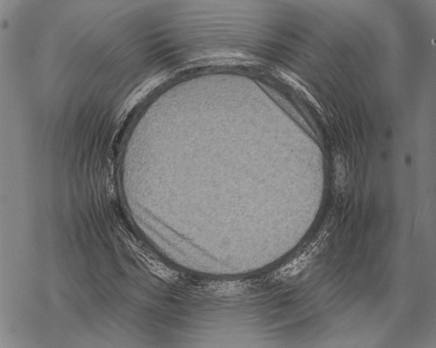 X0000067460970200605051618