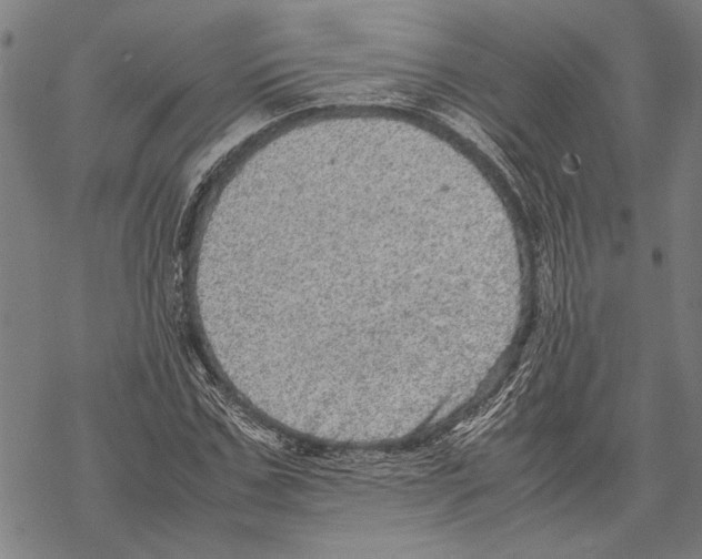 X0000067460971200605051617