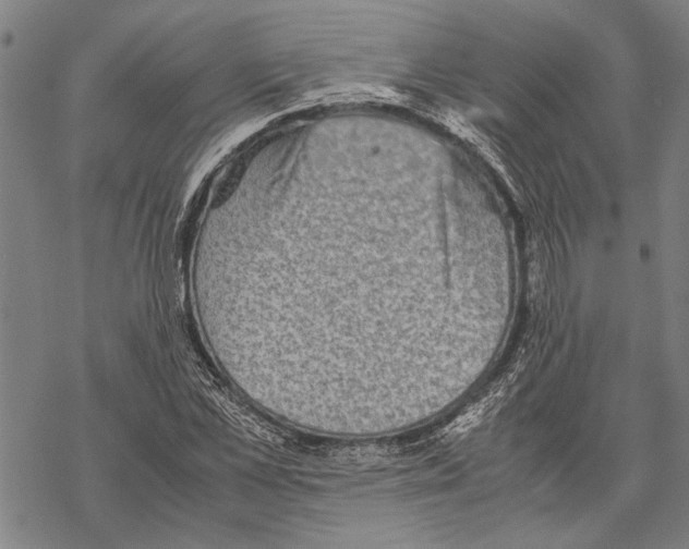 X0000067460973200605051617