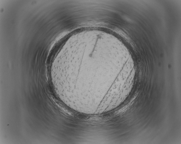 X0000067460974200605051617