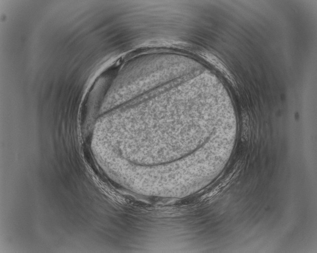 X0000067460976200605051617