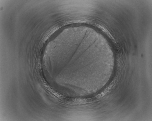 X0000067460977200605051617