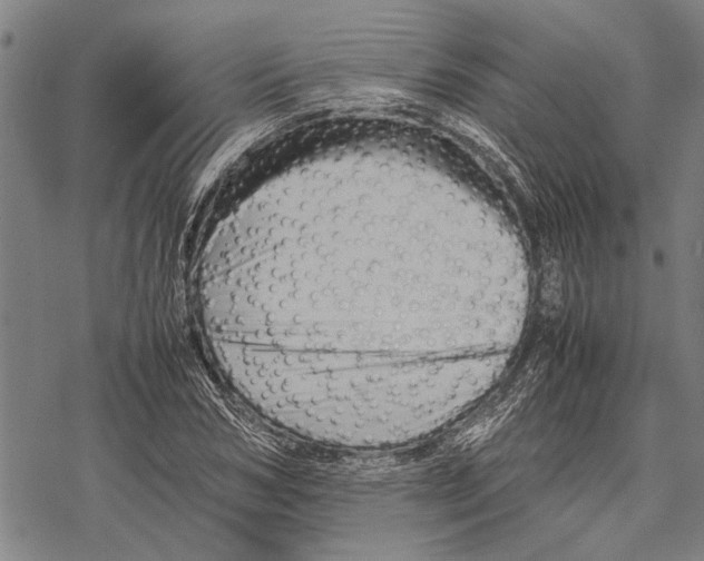 X0000067460978200605051617