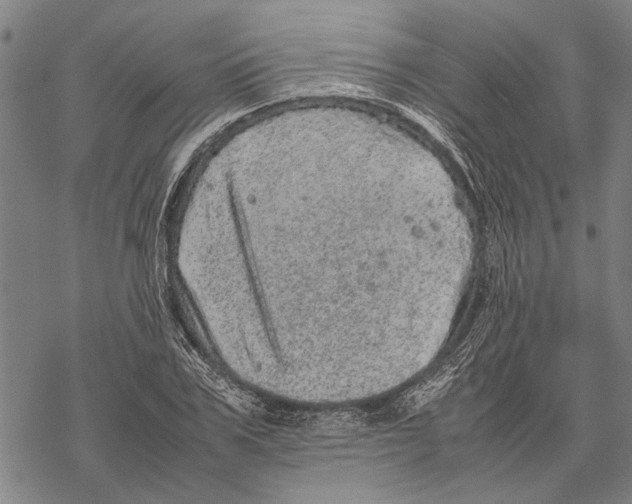 X0000067460979200605051617