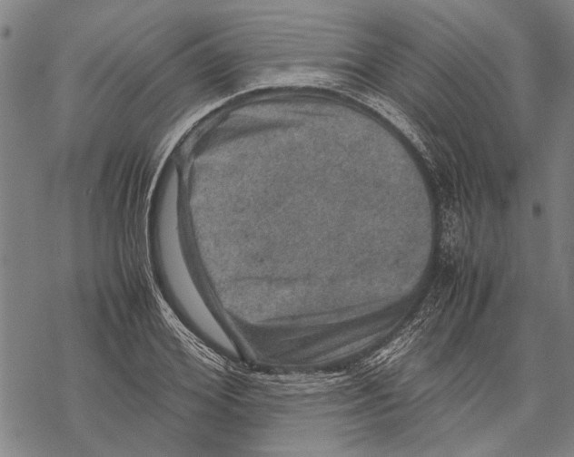 X0000067460980200605051617