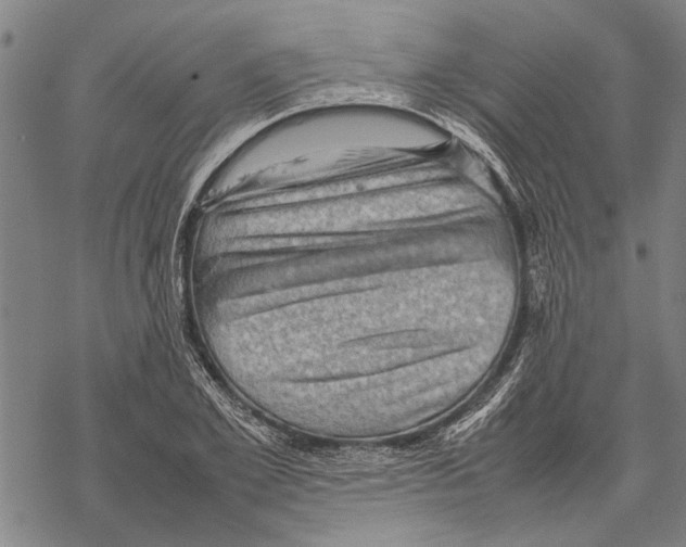 X0000067460981200605051617