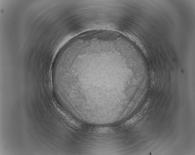 X0000067460982200605051617