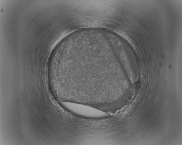 X0000067460983200605051617