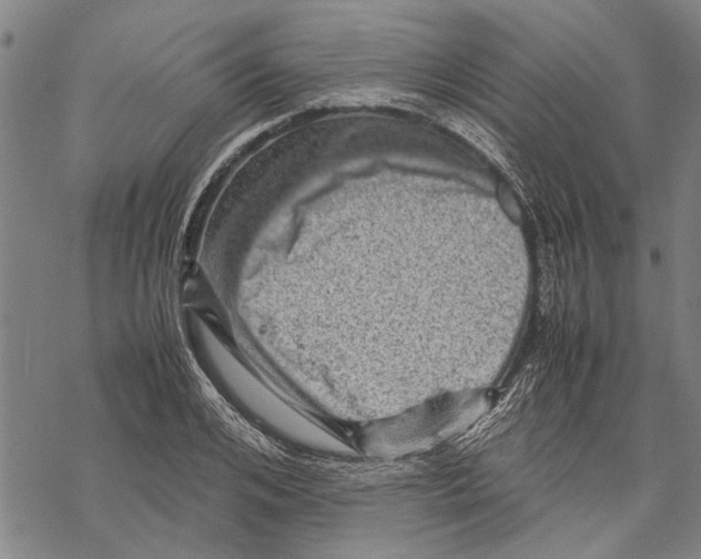 X0000067460984200605051617