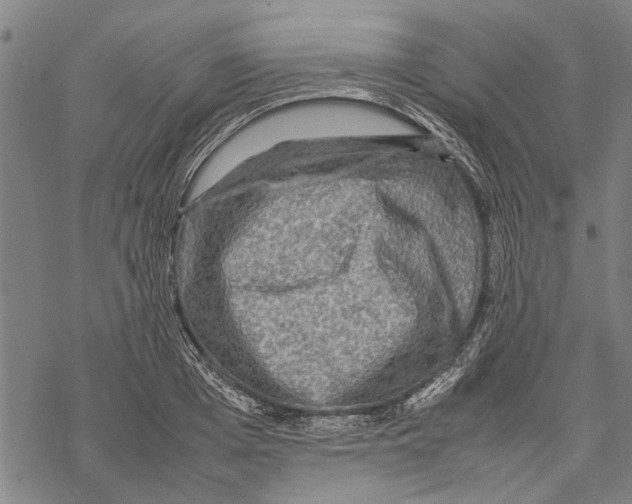 X0000067460985200605051617