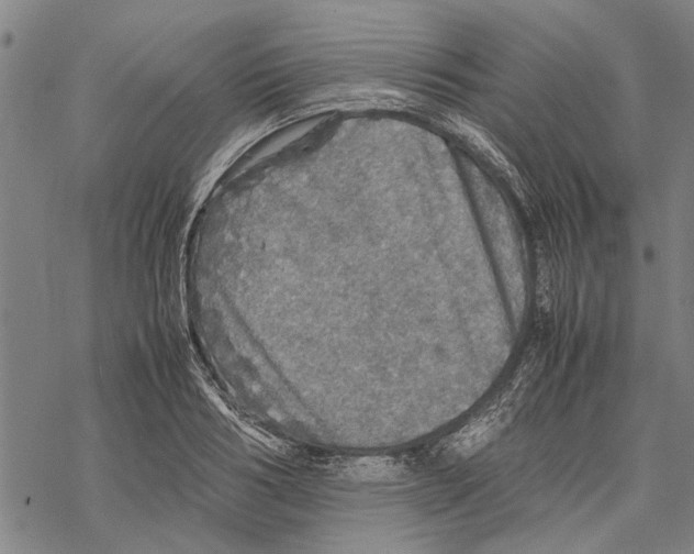 X0000067460986200605051617