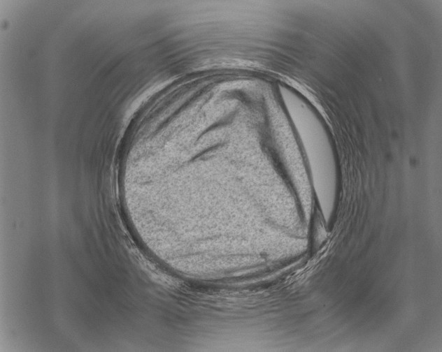 X0000067460987200605051617