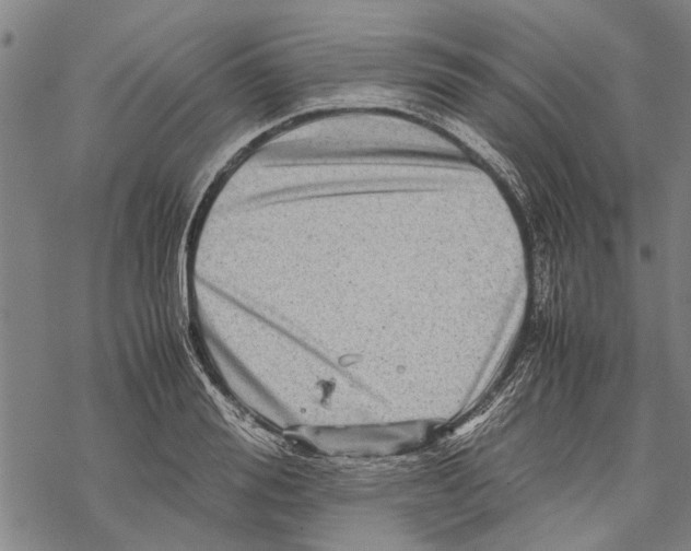 X0000067460988200605051617