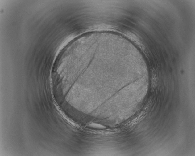 X0000067460990200605051617