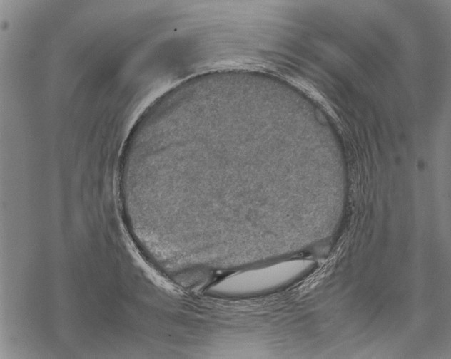 X0000067460991200605051617