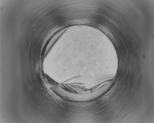 X0000067460992200605051617