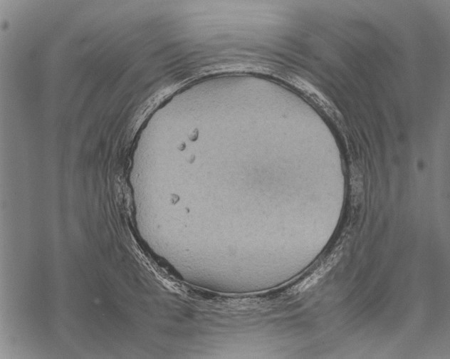 X0000067460993200605051617