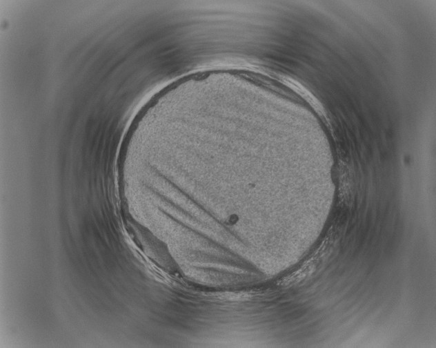 X0000067460996200605051617