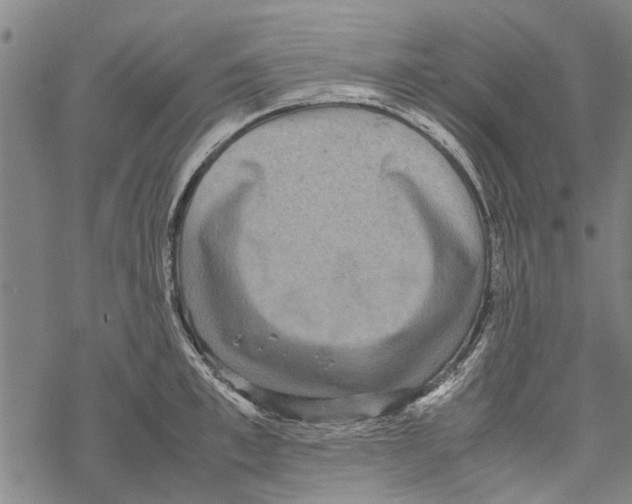 X0000067460997200605051617