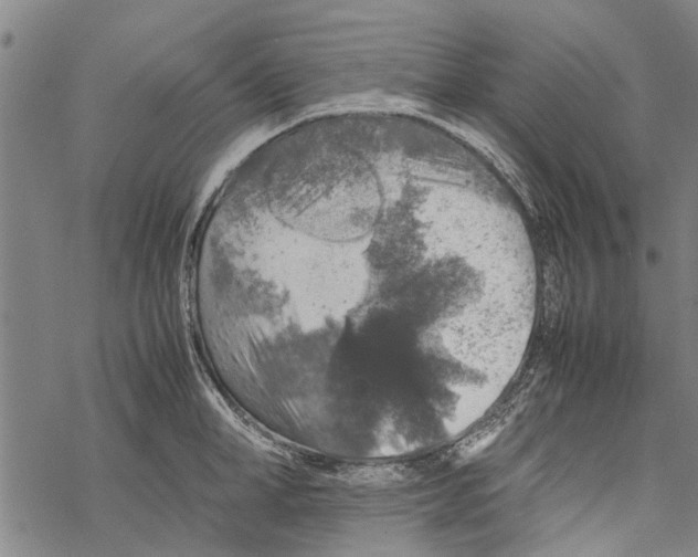 X0000067460998200605051617