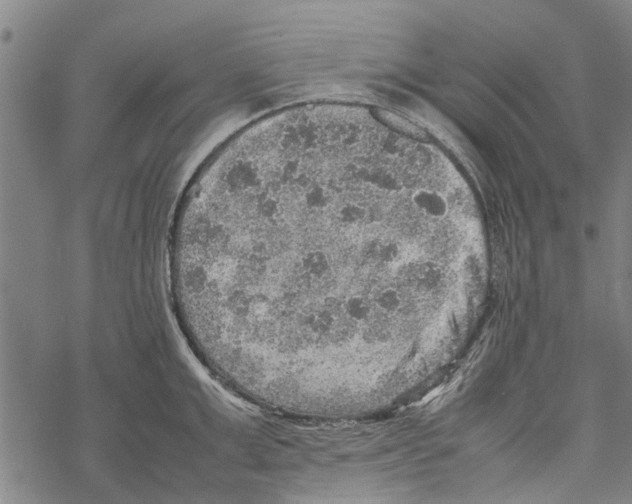 X0000067460999200605051617