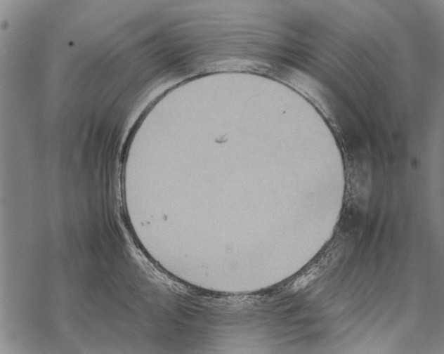 X0000067461000200605051617