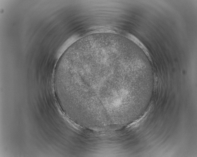 X0000067461002200605051617