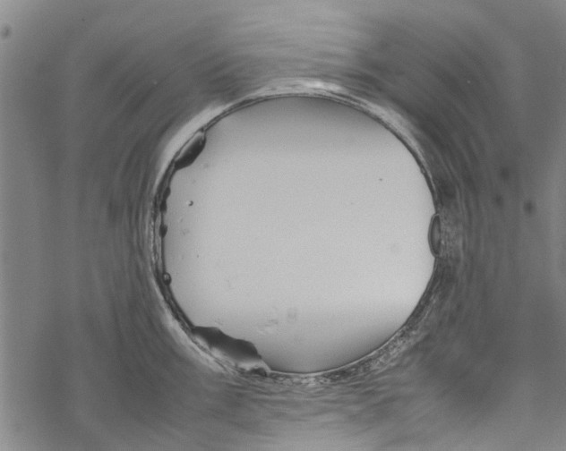 X0000067461003200605051617