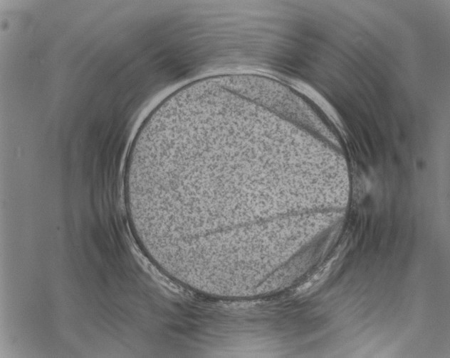 X0000067461004200605051617