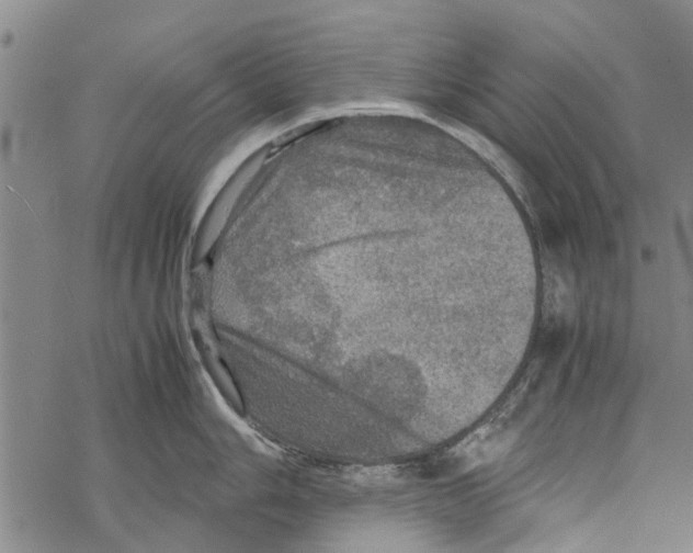 X0000067461006200605051617