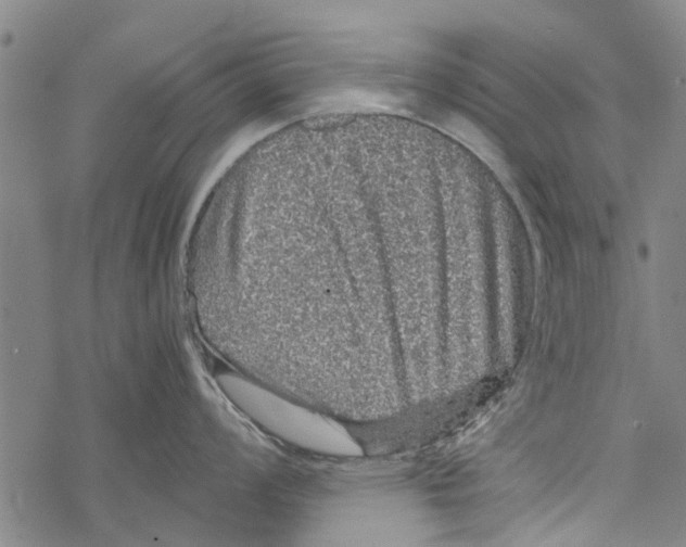 X0000067461008200605051617