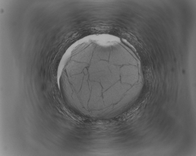 X0000067461009200605051616