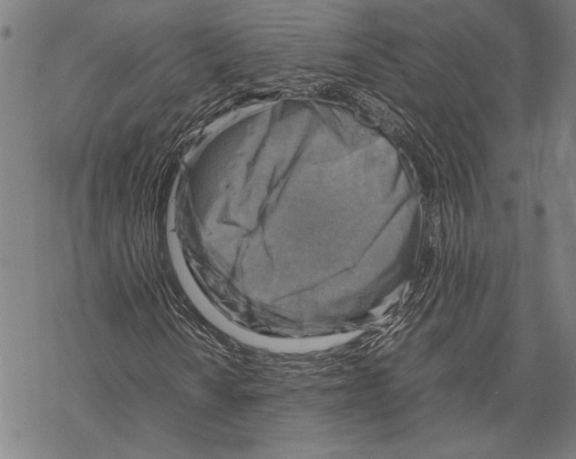 X0000067461010200605051616