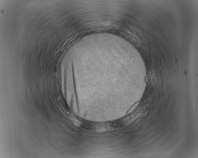 X0000067461012200605051616