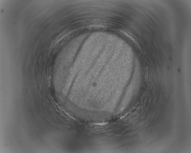 X0000067461015200605051616