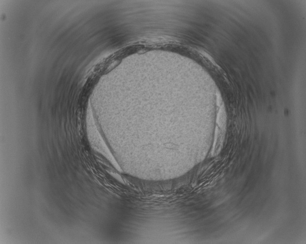 X0000067461016200605051616