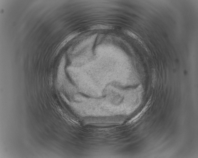 X0000067461017200605051616